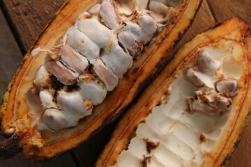 A top-down, close-up view of a fresh cocoa pod sliced in half, revealing the white pulp and cocoa...