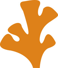 Hand Drawn Sea Plant Element