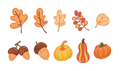 Yellow,orange fall leaves,pumpkin harvest,delicious pumpkins