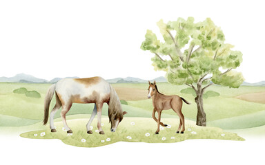 Watercolor horse with colt on green field landscape illustration isolated on white. Horizontal countryside pasture scene with hills and tree for farm and village designs. Grazing animals clip art