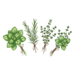 Watercolor Illustration of Fresh Herbs Bundled with Twine Culinary Delights.