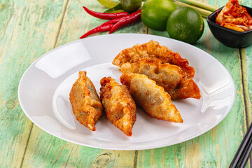 Asian fried stuffed dumplings gyoza