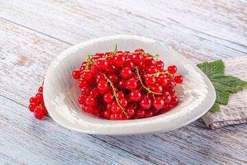 Raw ripe sweet juicy red currant