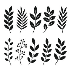 Fototapeta premium Black botanical leaf and berry branch silhouettes vector