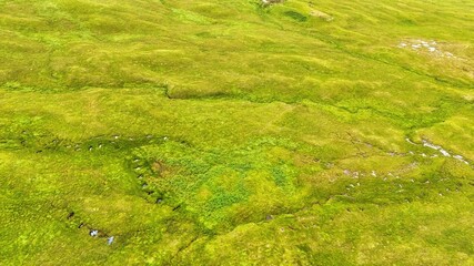 Towards Loch Tulla on the West Highland Way, Scotland