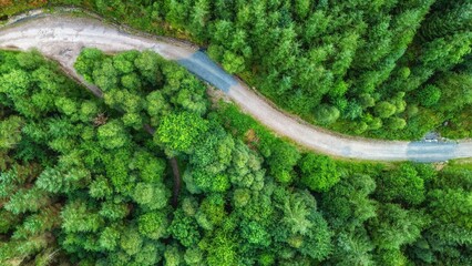 Empty road in a forest from a drone