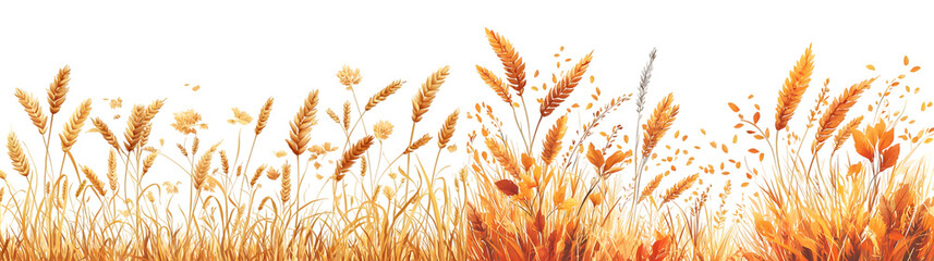 Golden wheat ears in a field, representing agriculture and the harvest season. Perfect for farming and autumn-themed projects. isolated on a transparent