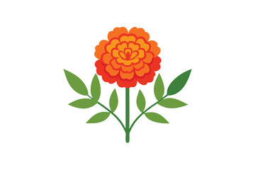 orange red marigold flowers with mango leafs