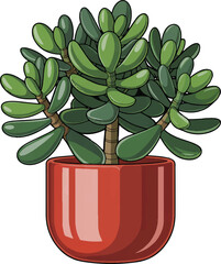 Vibrant green jade plant with thick succulent leaves in a shiny red pot isolated on transparent background