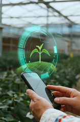 close up of farmer's hand using smartphone to analyze new shoot growth with hologram table plan appearing on screen which displays information about shoot growth in greenhouse