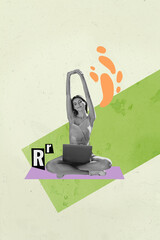 Image 3d zine vertical collage of happy businesswoman manager type laptop device programming...