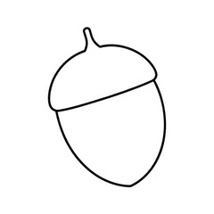 acorn simple line