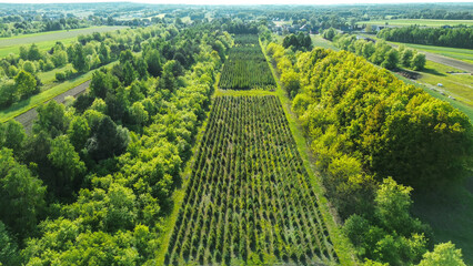 Environmentally protected land for tree planting