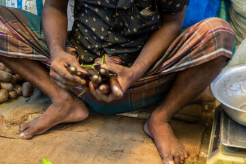 A man holding some eggplant in the market