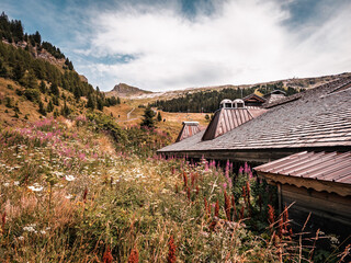 Vacances en montagne