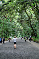 도쿄 메이지 신궁