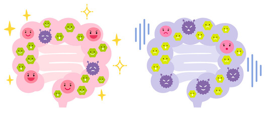 腸内環境　善玉菌　悪玉菌　日和見菌