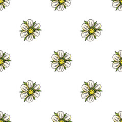 Strawberry flower seamless pattern hand drawn watercolor. Berry bud. Summer blooming season. Fruit farm. Illustration background for wall and wrapper.