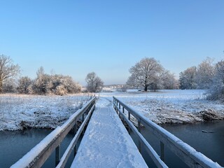 Winter im Eriskircher Ried