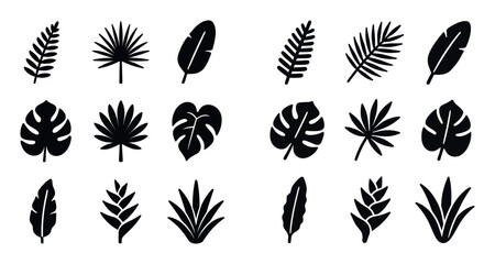 Obraz premium Tropical Leaf Icons