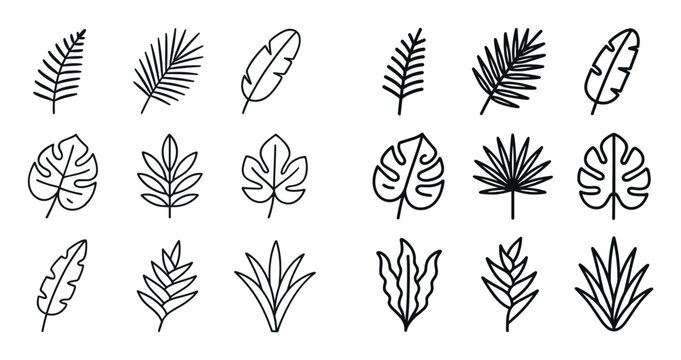 Tropical Leaf Icons