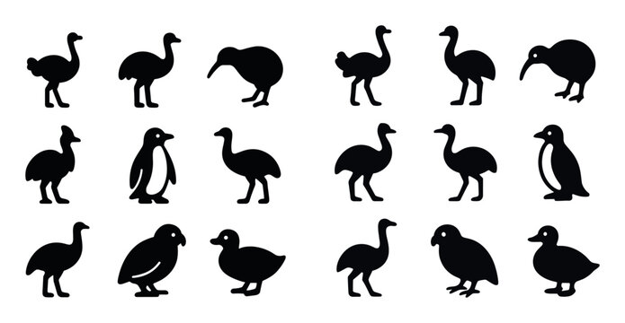 Flightless Birds Icons