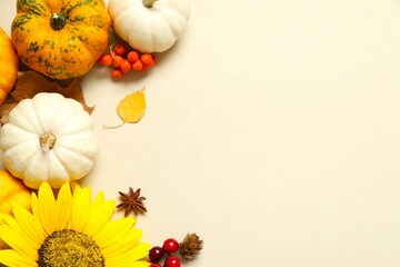 Beautiful autumn composition with pumpkins on a pastel background, top view. Harvest Festival, Thanksgiving and Halloween