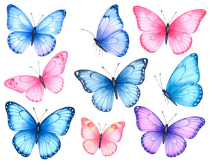 A colorful collection of beautiful flying butterflies with a flower, perfect for a summer design