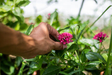 A man holds a red flower, and the background is blurred
