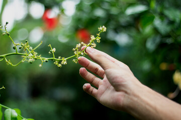 A man holds a red flower, and the background is blurred