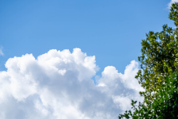 青い空と白い雲