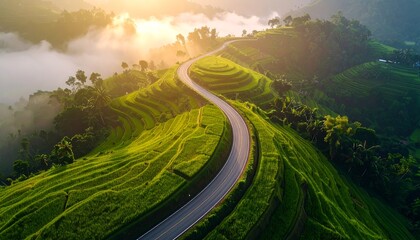 Aerial view of winding road through lush green rice terraces with morning mist and sunlight