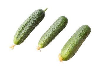 Three cucumbers are shown in a row, with the middle cucumber being the largest