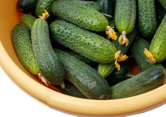 A bowl of cucumbers with a yellow rim