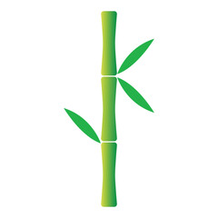 Bamboo stick with leaves