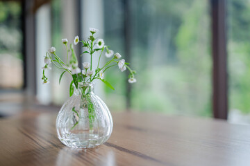Small white flowers in clear glass vase on wooden table create peaceful atmosphere perfect for rest...