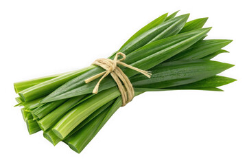 Fresh pandan leaves bundle tied with twine isolated on transparent background