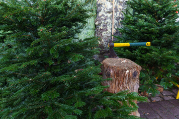 Christmas trees and chopping block with axe.