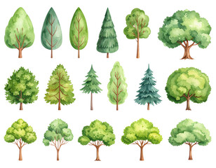 A vector illustration collection of various green trees, leaves, and plants in a forest setting, perfect for spring or summer design elements