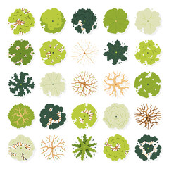 hand drawn vector illustration top view of tree for landscape and architecture design isolated on white background.