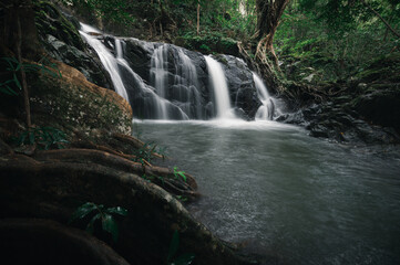 Fototapeta premium Serene Waterfall Amidst Lush Green Jungle Landscape in Nature