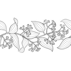 Cinnamon Branch with Flowers and Leaves Outline Horizontal Seamless Pattern. Organic natural nutritional healthy food ingredient, vegetarian diet product. Vector isolated for design or decoration.