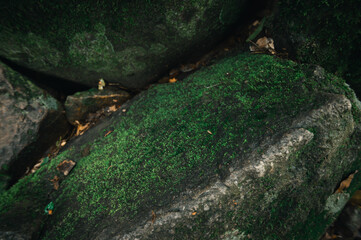 Moss Covered Rocks Near Waterfall in Natural Green Landscape