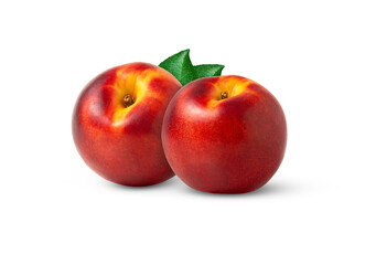 Two juicy organic nectarine peaches and leaves isolated. Ripe nectarine peach and a leaf with clipping path.