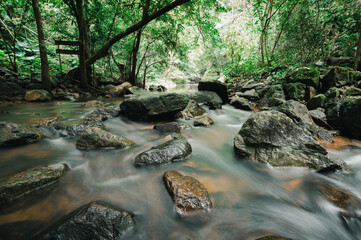Serene Waterfall Scene in Lush Green Forest Setting