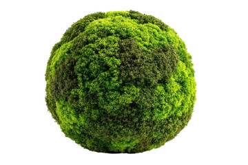 Lush Green Moss Sphere on Black Background Close Up of Natural Terrestrial Globe Environment on transparent background