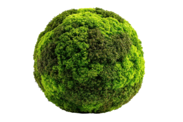 Lush Green Moss Sphere on Black Background Close Up of Natural Terrestrial Globe Environment on transparent background