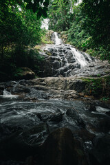 Serene Waterfall Surrounded by Lush Green Jungle in Nature's Paradise