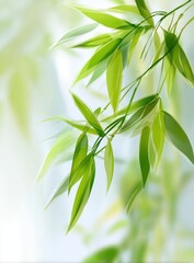 Close-up of vibrant green bamboo leaves