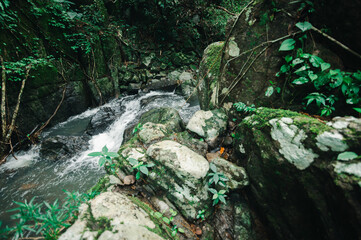Serene Waterfall and Stream Flowing Through Dense Tropical Forest